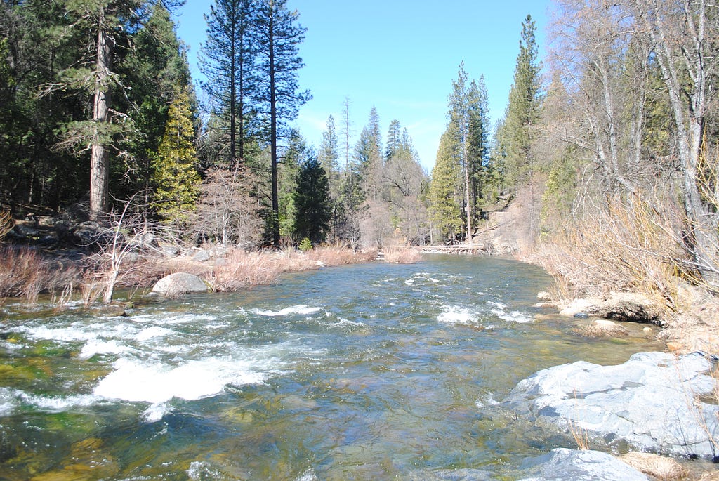 Merced River, Wawona, Yosemite National Forest