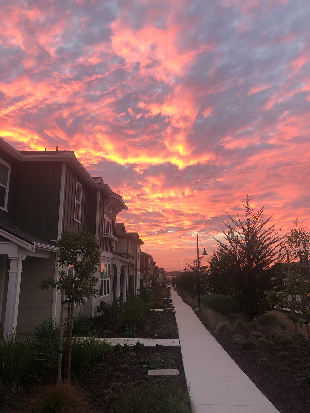 Neighborhood In Monterey